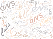 2013 02 CMLA ENS2